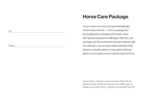 Horse Care Package