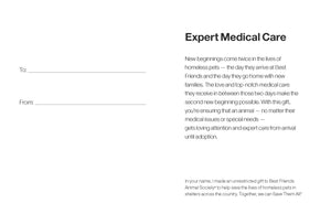 Expert Medical Care