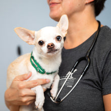 Expert Medical Care