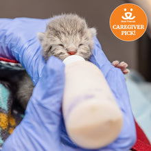 Kitten Care Package