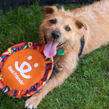 Dog Enrichment Toys