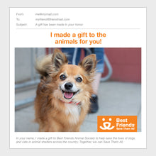 Senior Pet Care Package
