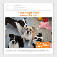 Puppy Care Package
