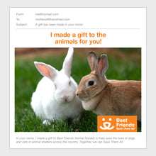 Bunny Care Package