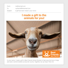 Goat Care Package