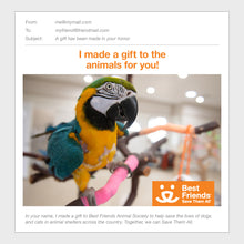 Bird Care Package