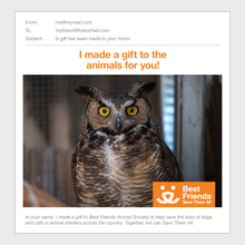 Wildlife Rehab Package