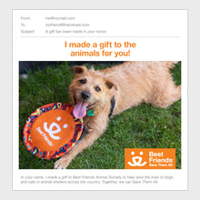Dog Enrichment Toys