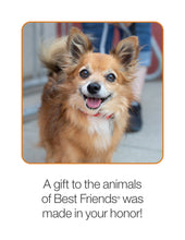 Senior Pet Care Package