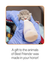 Kitten Care Package