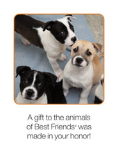 Puppy Care Package