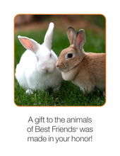 Bunny Care Package