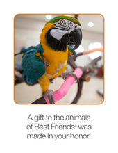 Bird Care Package
