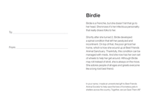 Sponsor Birdie