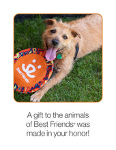 Dog Enrichment Toys