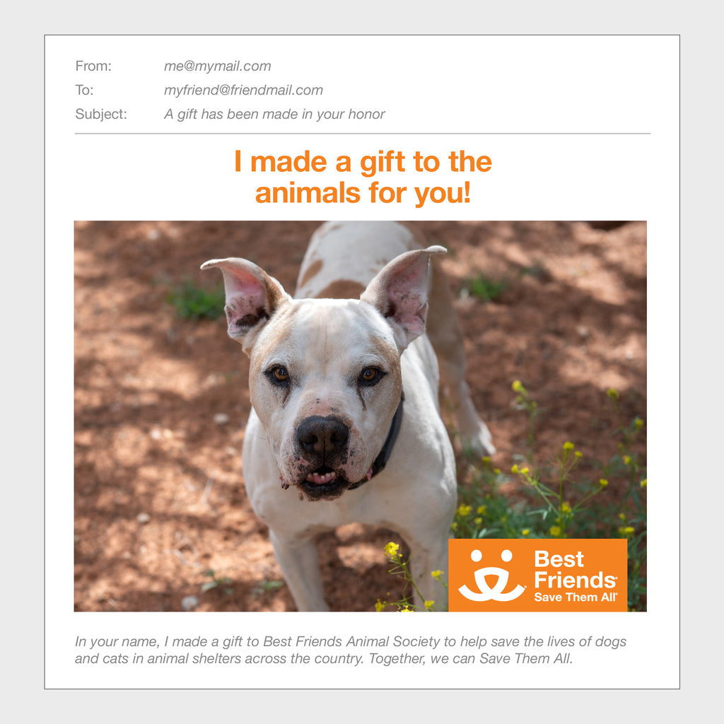 Sponsor Fitz Best Friends Animal Society's Catalog of Kindness