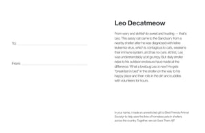 Sponsor Leo Decatmeow