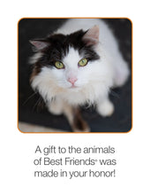 Sponsor Precious