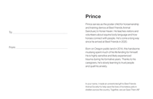 Sponsor Prince
