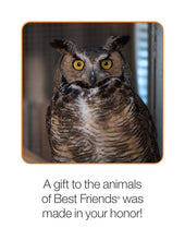 Wildlife Rehab Package