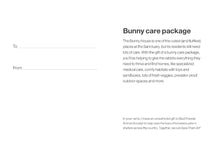 Bunny Care Package