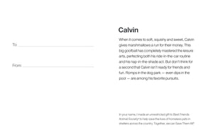 Sponsor Calvin