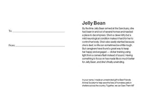 Sponsor Jelly Bean