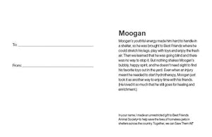 Sponsor Moogan