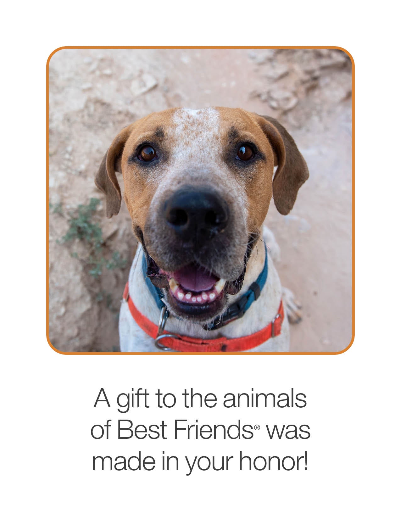 Sponsor Titus Best Friends Animal Society's Catalog of Kindness